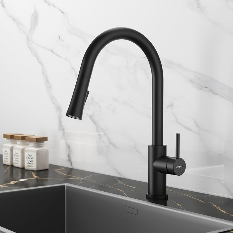 Dual-function spray head and 60-inch flexible braided hose on BBS 3308Q 304 stainless steel faucet - British Building Supplies Ltd