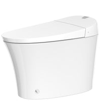 TA-X570DF Competitive Price Wc Easy Click Flush Button Intelligent Smart Toilet No Water Pressure Limited