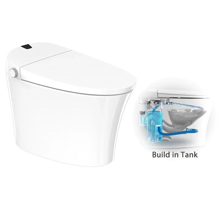 Powerful Super Swirl Siphon Jet Flushing System of Tejjer TA-X570DF