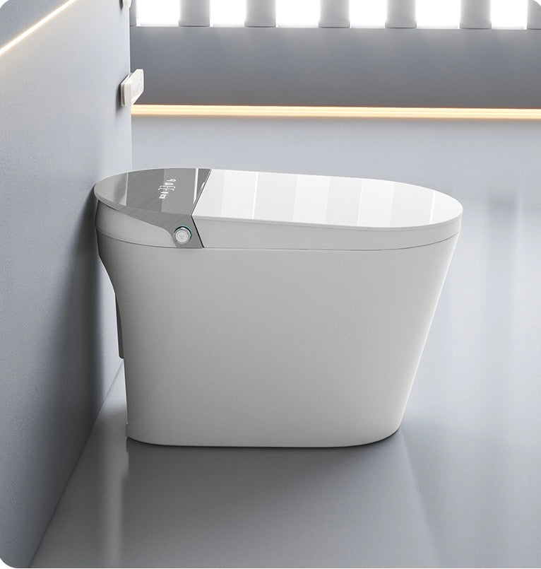 Smart Toilet