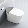 Smart Toilet