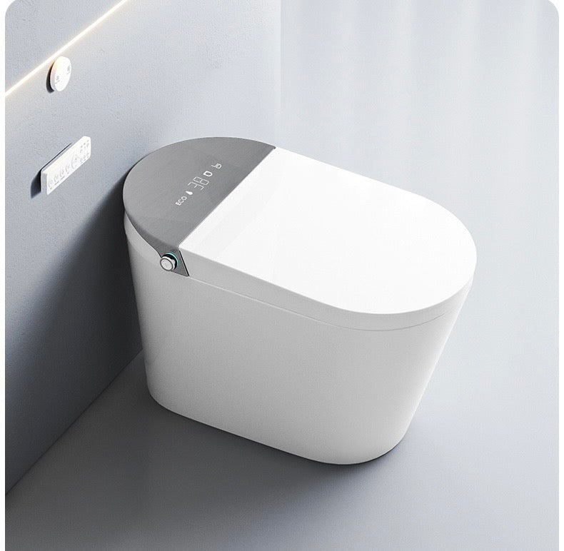 Smart Toilet