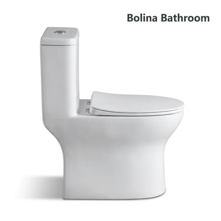 Dual flush top push button 3L and 4.8L on Bolina W2161 toilet