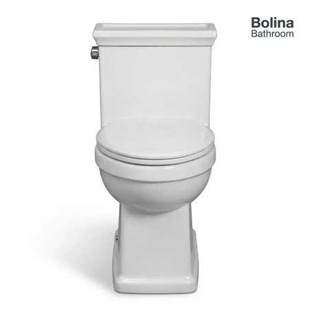 Close-up of Bolina W2281 Polished Chrome Side Lever for Easy Activation