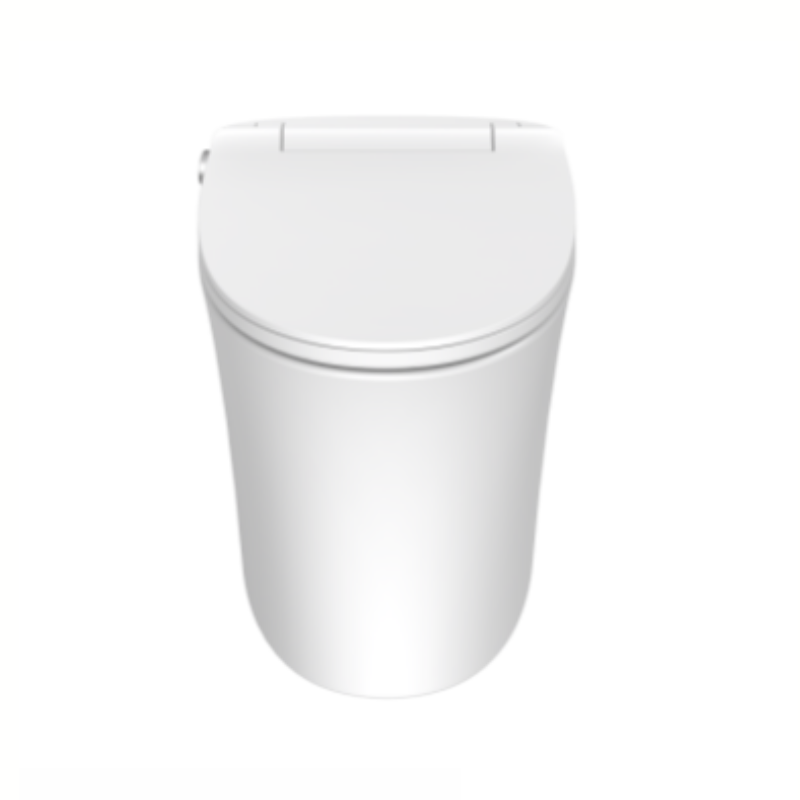 Internal Hidden Water Tank Structure of Tejjer TA-X568 - Space-Saving Design and Consistent Low-Pressure Performance