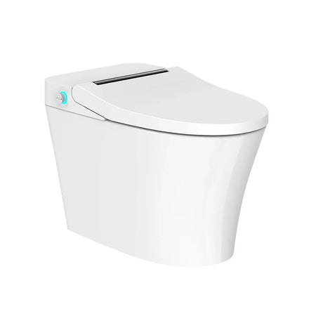 One Piece View | Tejjer TA-760DF One Piece Smart Toilet with Remote Control