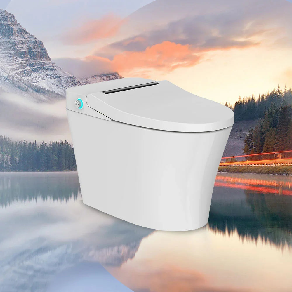 Technical Detail | Tejjer TA-760DF Tankless Intelligent Toilet with Foot Sensor Flush